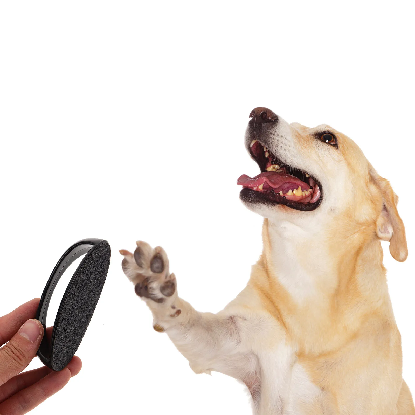 1Set Pet Nail File Replaceable Sandpaper Portable Nail Grinder Tool Sturdy Handle for Dog Cat Grooming Dog Paw Grind Tool