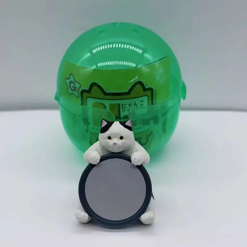 Yell 일본 가샤폰 캡슐 토이 피규어, 귀여운 동물 고양이 촬영 장면 액션 피규어, 애니메이션 미니어처 모델 인형 선물