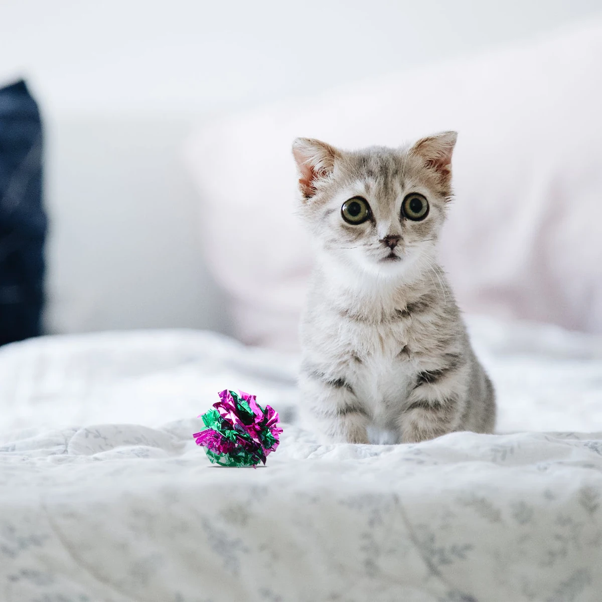 

6pcs Crinkle Balls Cat Funny Interactive Pet Kitten Exercise Balls Calming Sound 1.5 Inch Width Bright