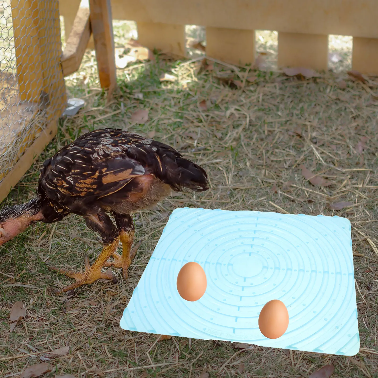 

Silica Gel Chicken Nesting Pads Soft Reusable Blue Egg Laying Accessories Nest Box Mats Plastic LinersChicken Cage Cushions