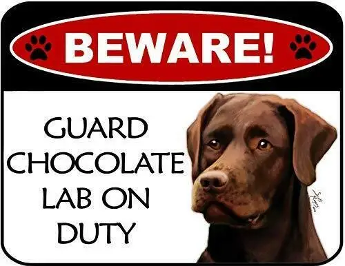 Metal Sign-Top Shelf Novelties Beware Guard Chocolate Lab On Duty Laminated Dog Sign SP3104
