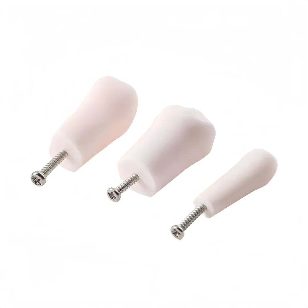 24 قطعة نموذج ممارسة الأسنان للأطفال نموذج الأسنان النفضية لطب الأسنان للأطفال وسائل تعليمية لتدريب تعليم الأسنان #2