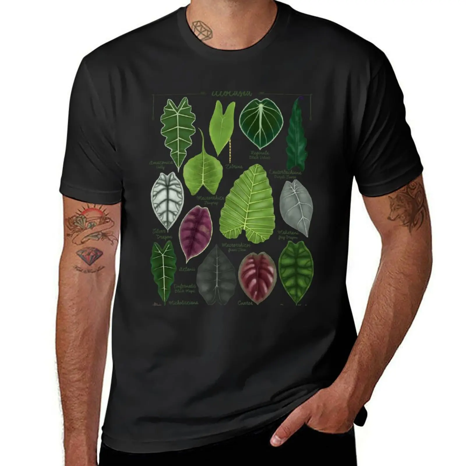 Alocasia leaf species illustration & pattern T-Shirt anime stuff boys animal print mens workout shirts