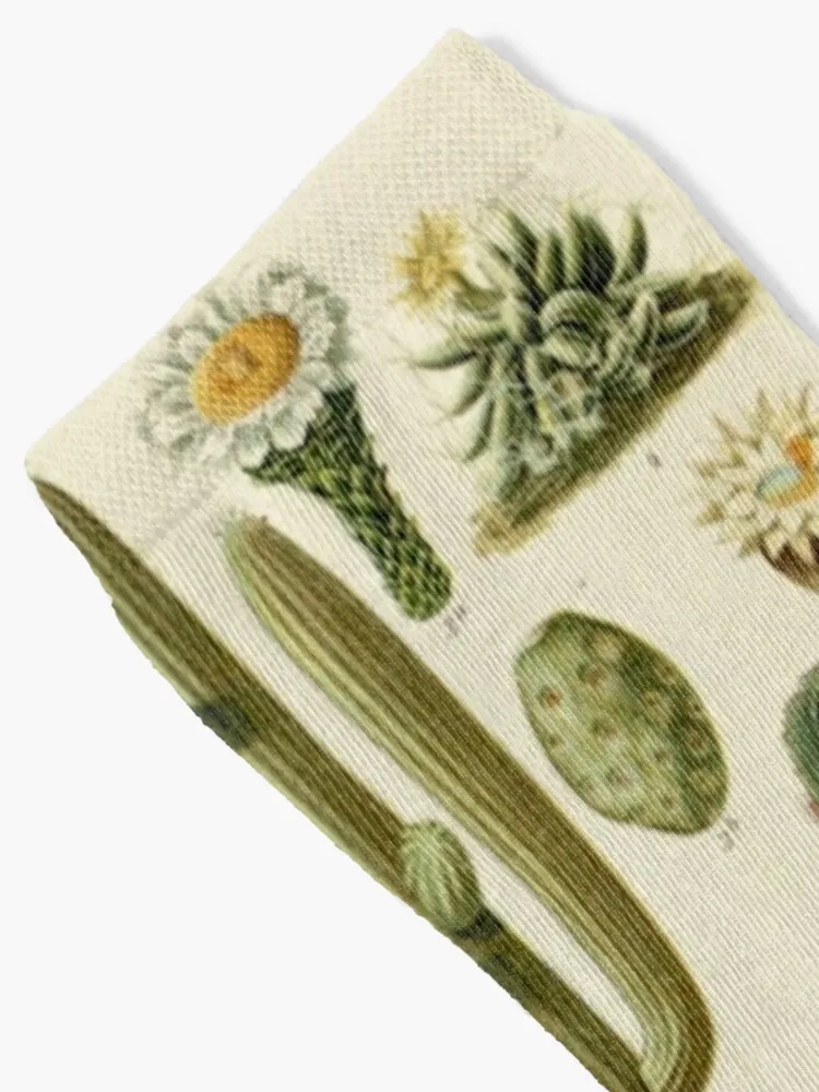 Calzini di cactus Naturalist calzini di lusso di moda giapponese calzini da uomo di marca di lusso da donna