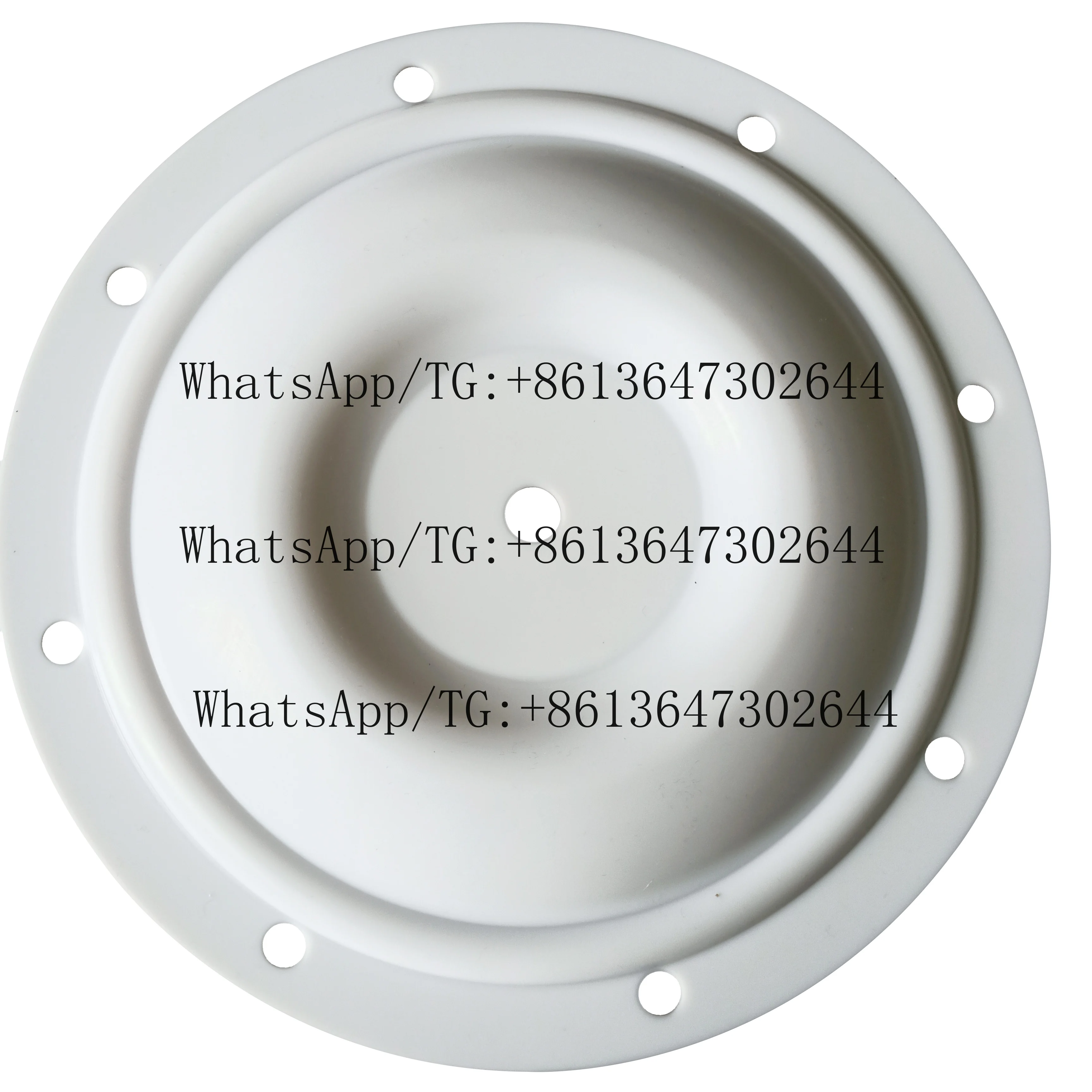 

Диафрагма из ПТФЭ CF25-016 для воздушных насосов