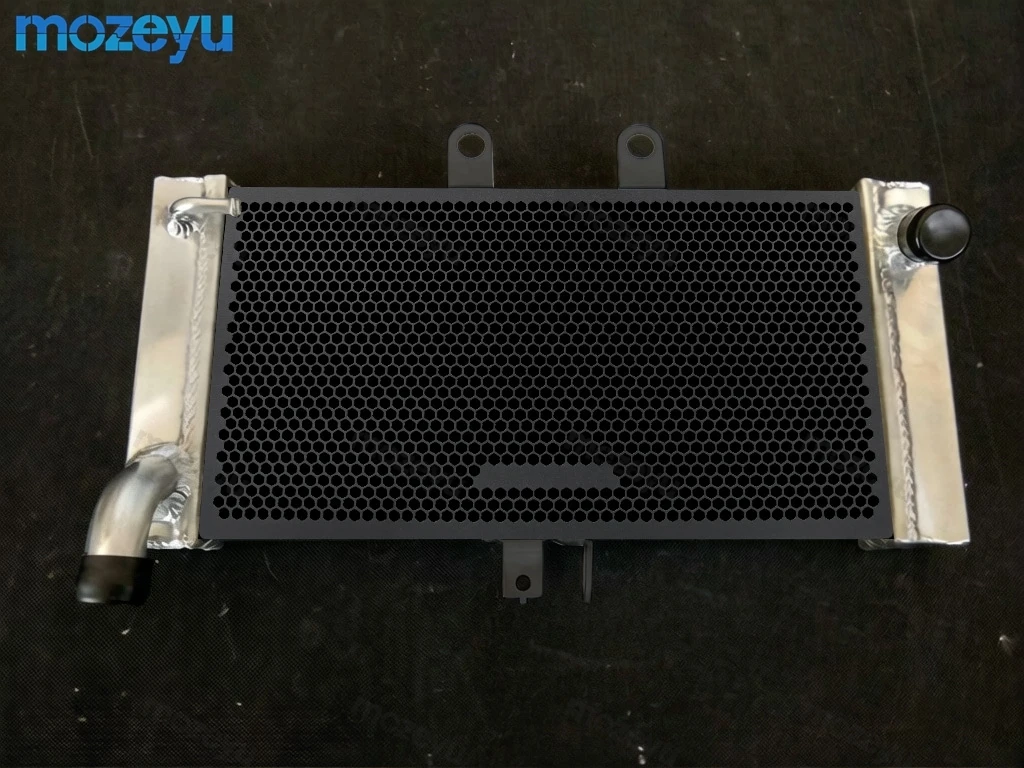 

Radiator Grille Cover Guard Protection For SUZUKI GSF650 Bandit GSF650S GSF 650 Bandit 650 2007-2017 2016 Motorcycle Accessories