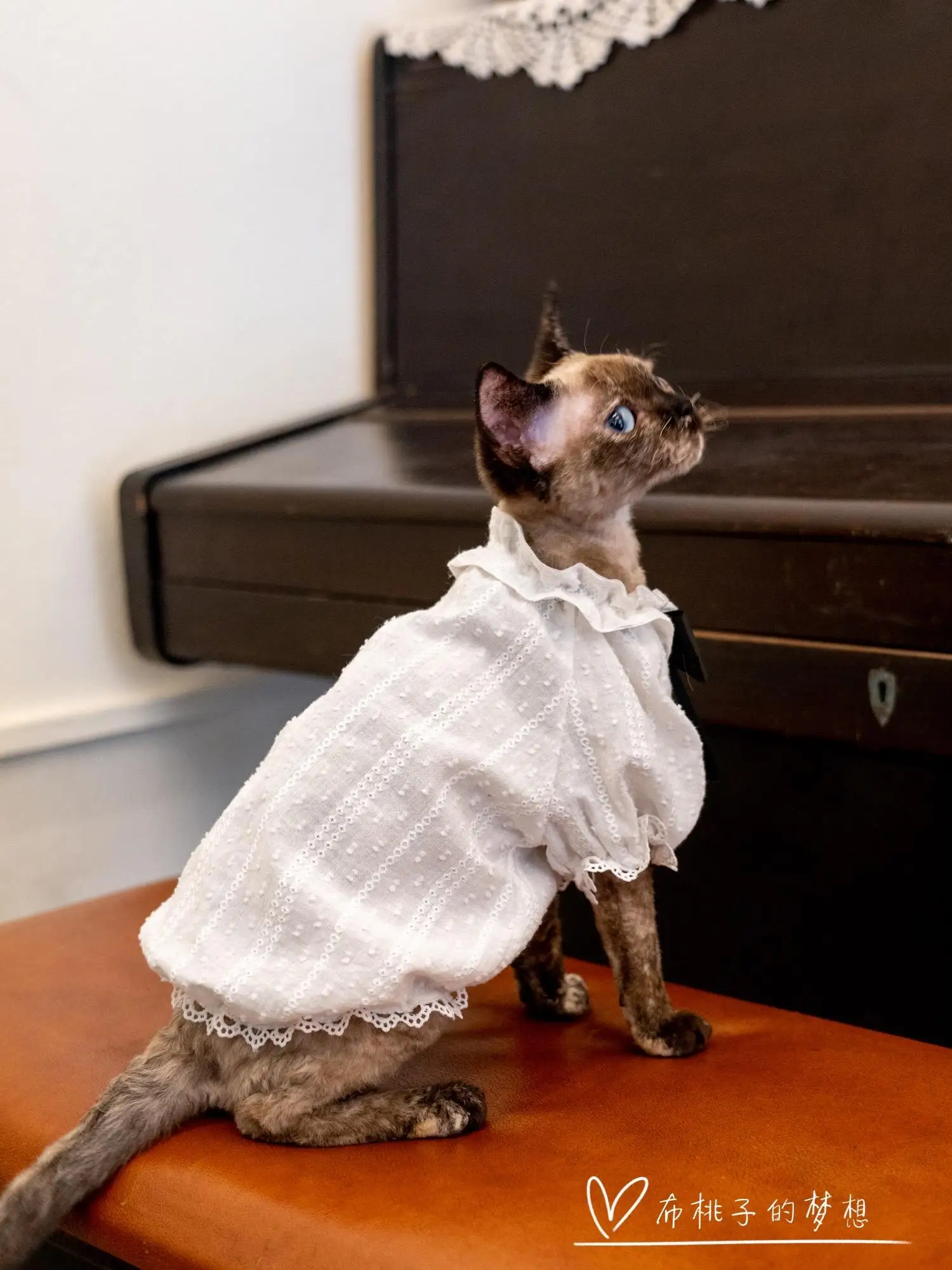 Sphynx Cat Lace Dress Lace Pure White Wedding Dress with Bow For kittens Hairless Cat Clothes Soft Thin Material Devon Rex