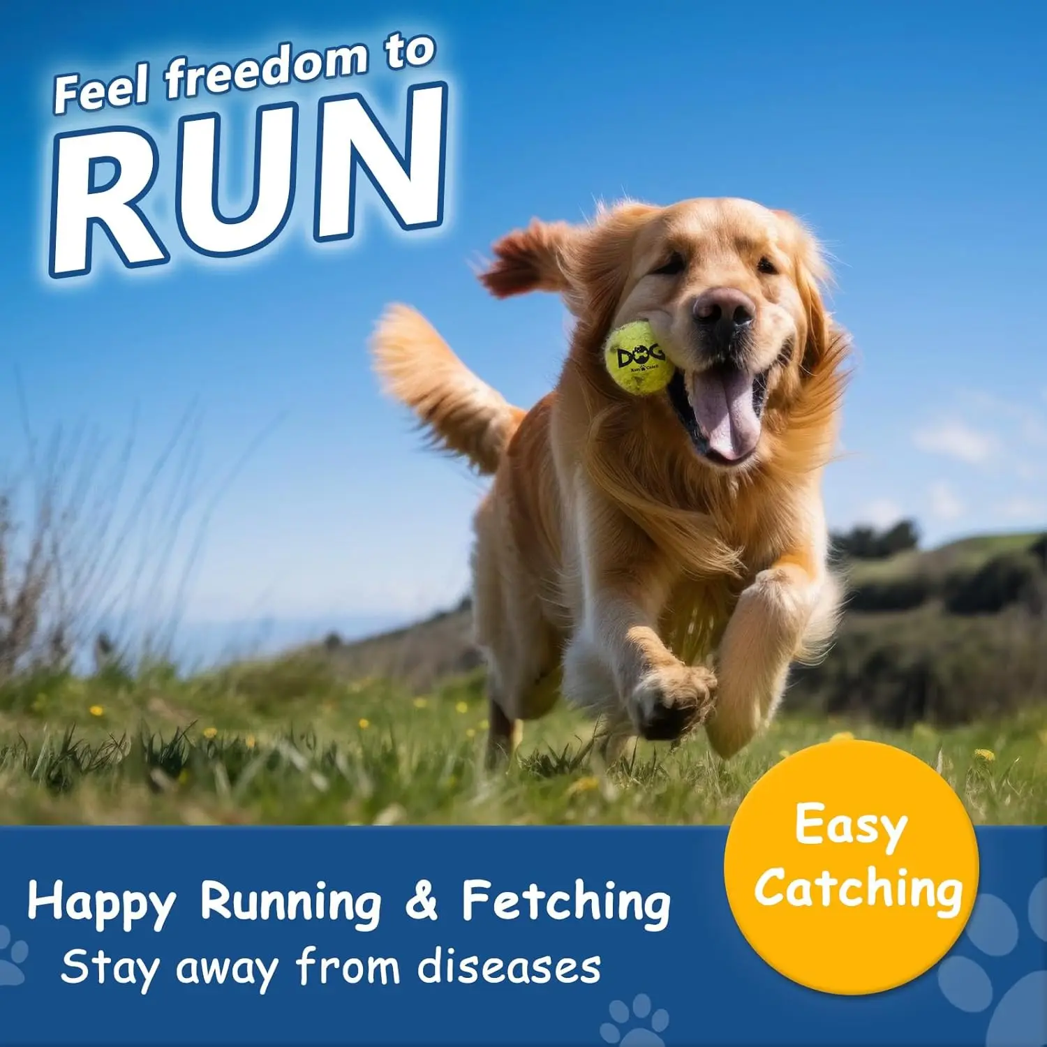 كرات كلب صار ملونة وآمنة من المطاط الطبيعي توفر توازنًا مثاليًا للكرة التي تصدر صوتًا ومتانة للكلاب