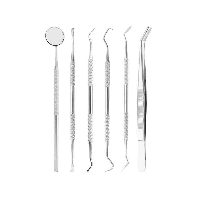 6 PCS Stainless Steel Cleaners Dentals Instruments Hygienes Dentals Tools Kit For Orals Care