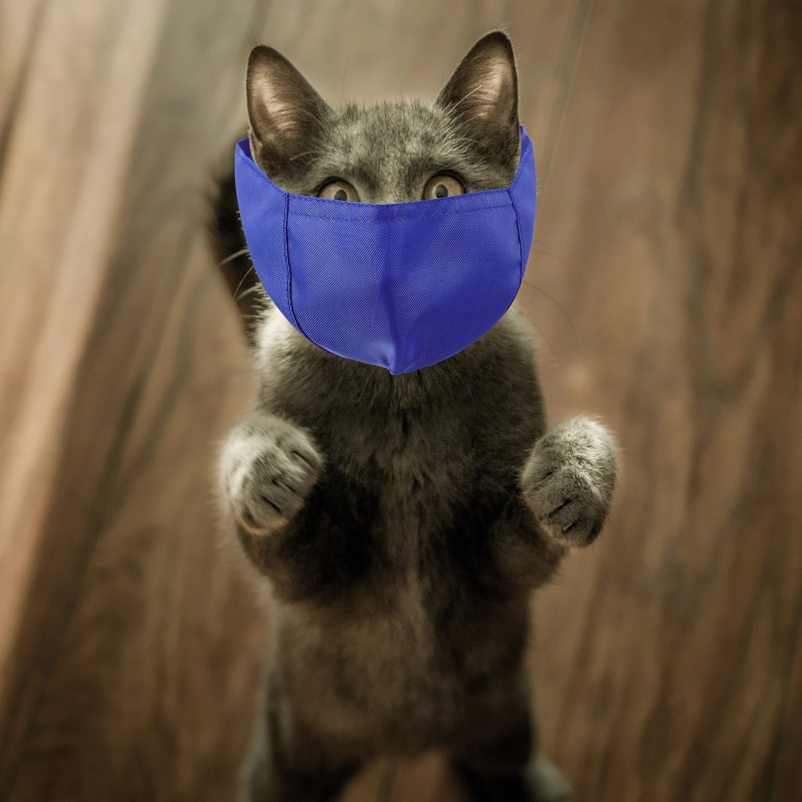 

Mouth Anti-bite Cat Head Cover Pet Breathable Kitten Muzzle Biting Dog after Cat's