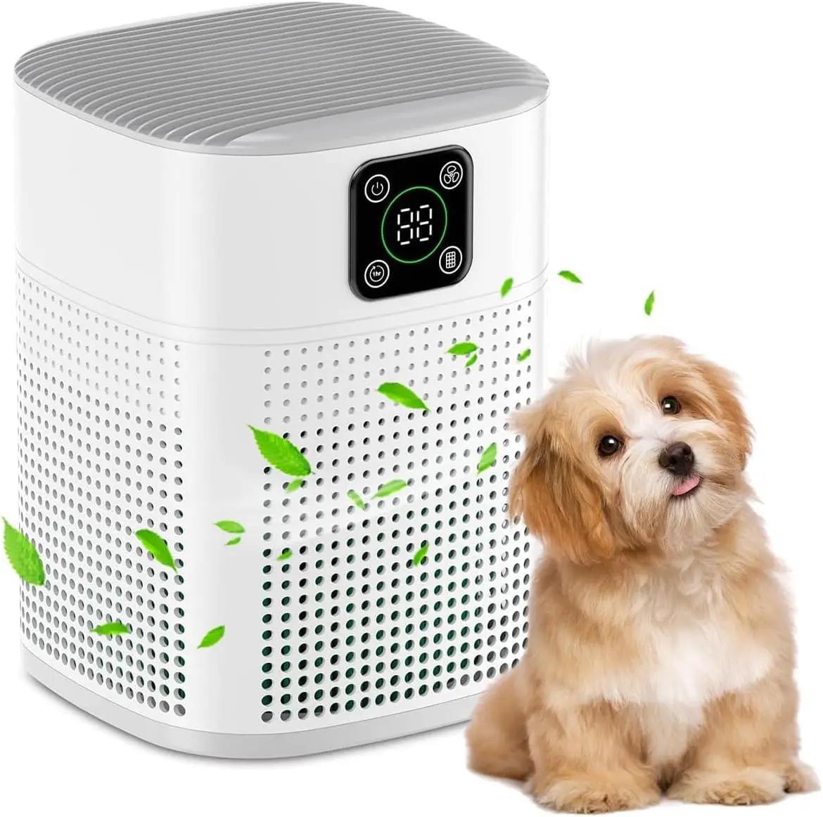 Air Purifiers For B… - image
