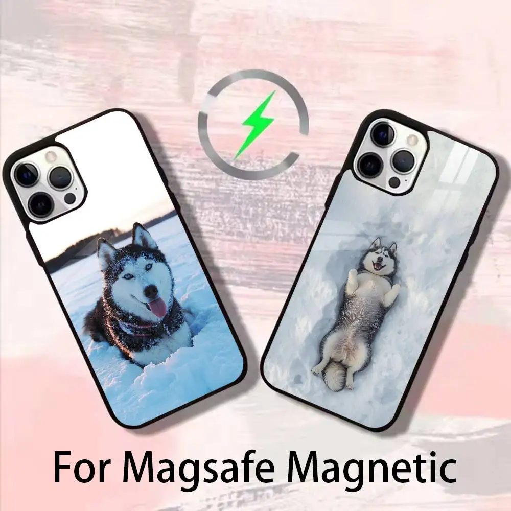 

Husky Phone Case For iPhone 17,16,15,14,13,12,Plus,Pro,Max For Magsafe Magnetic Wireless Charge