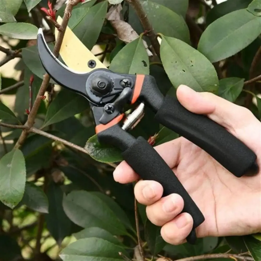 

Sharp Gardening Pruning Shear Efficient Heavy-Duty Branch Trimmer Durable Multi-functional Garden Trimming Tool Gardening