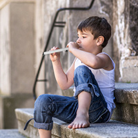 Slide Whistle Sliding Flute Funny Musical Instrument Aluminum Alloy ABS Safe Lightweight for Kids and Adults Learning Music