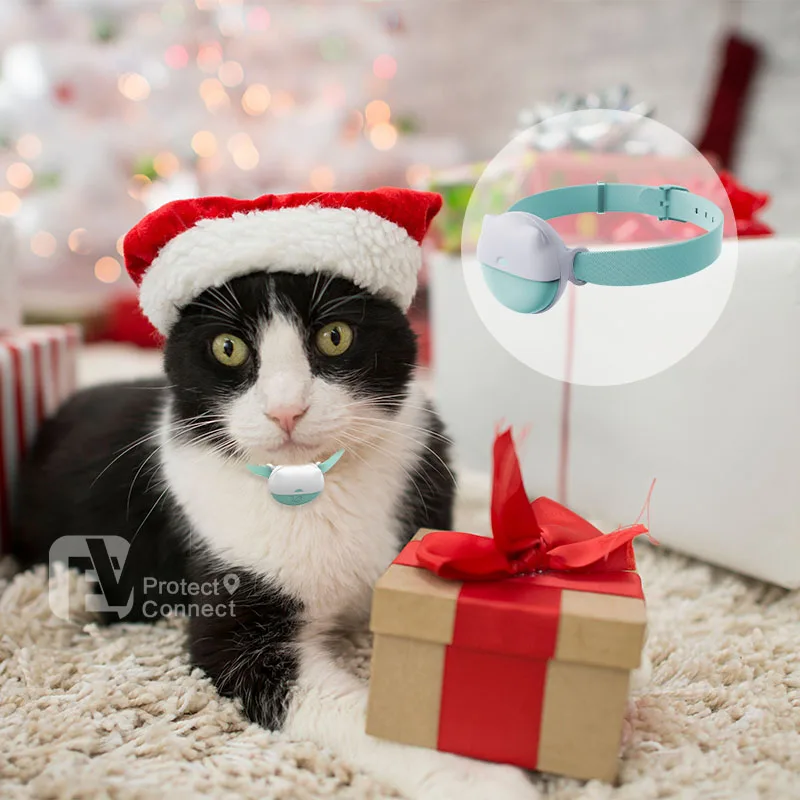 

Pet Health & Location Monitoring Waterproof GPS Tracker, Built-in Night Light, 8 Days Battery, Cat Fitness Tracking Collar