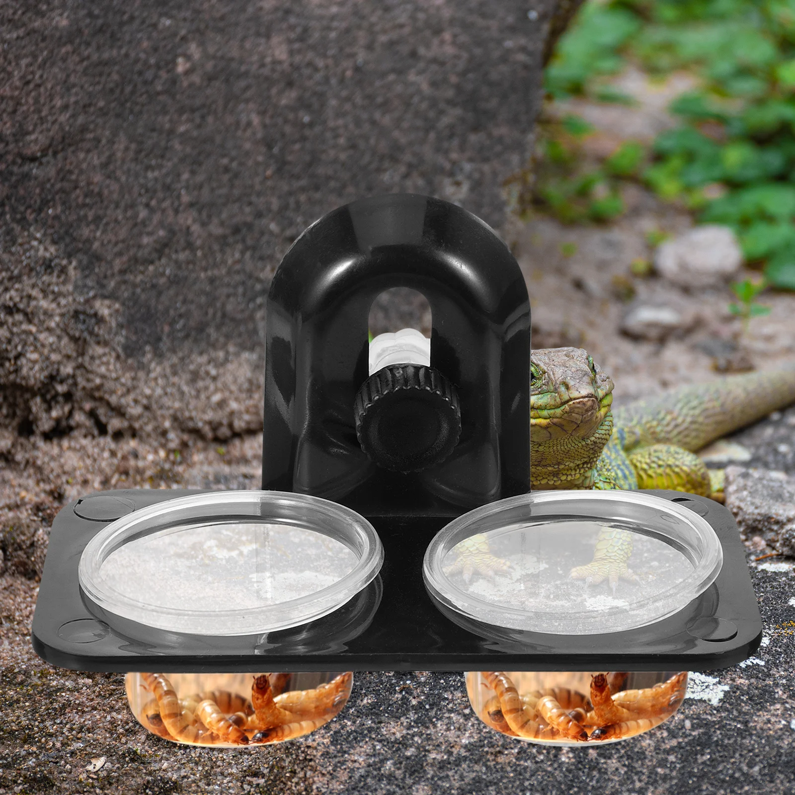 مستلزمات التغذية للزواحف وعاء الطعام والمياه للسحلية السلاحف أبو بريص الحرباء العنكبوت خنفساء الحائط تصميم مستقر