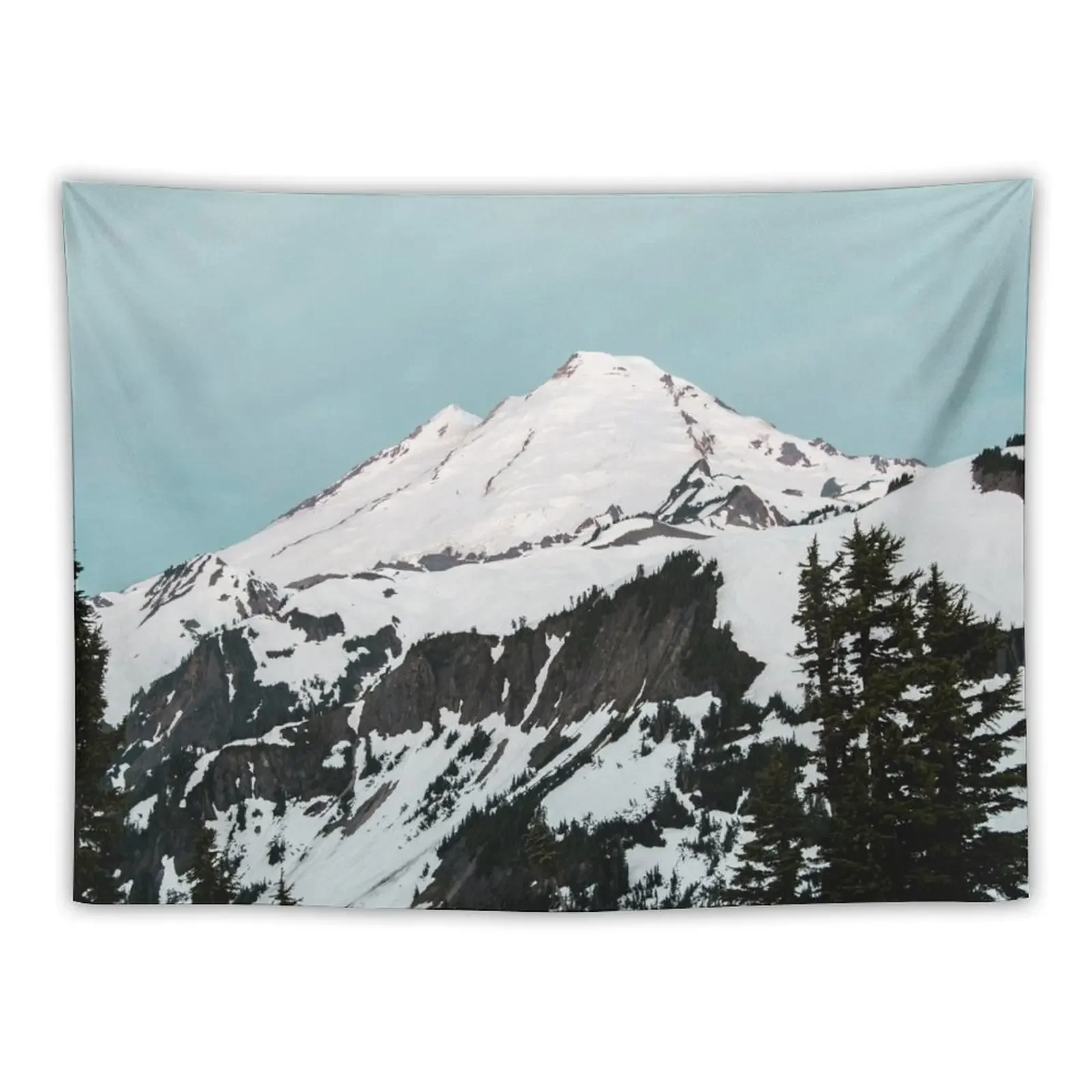 

Mount Baker Baby Blue - Pastel Mornings Tapestry Bedrooms Decor Bedroom Decor Mushroom Tapestry