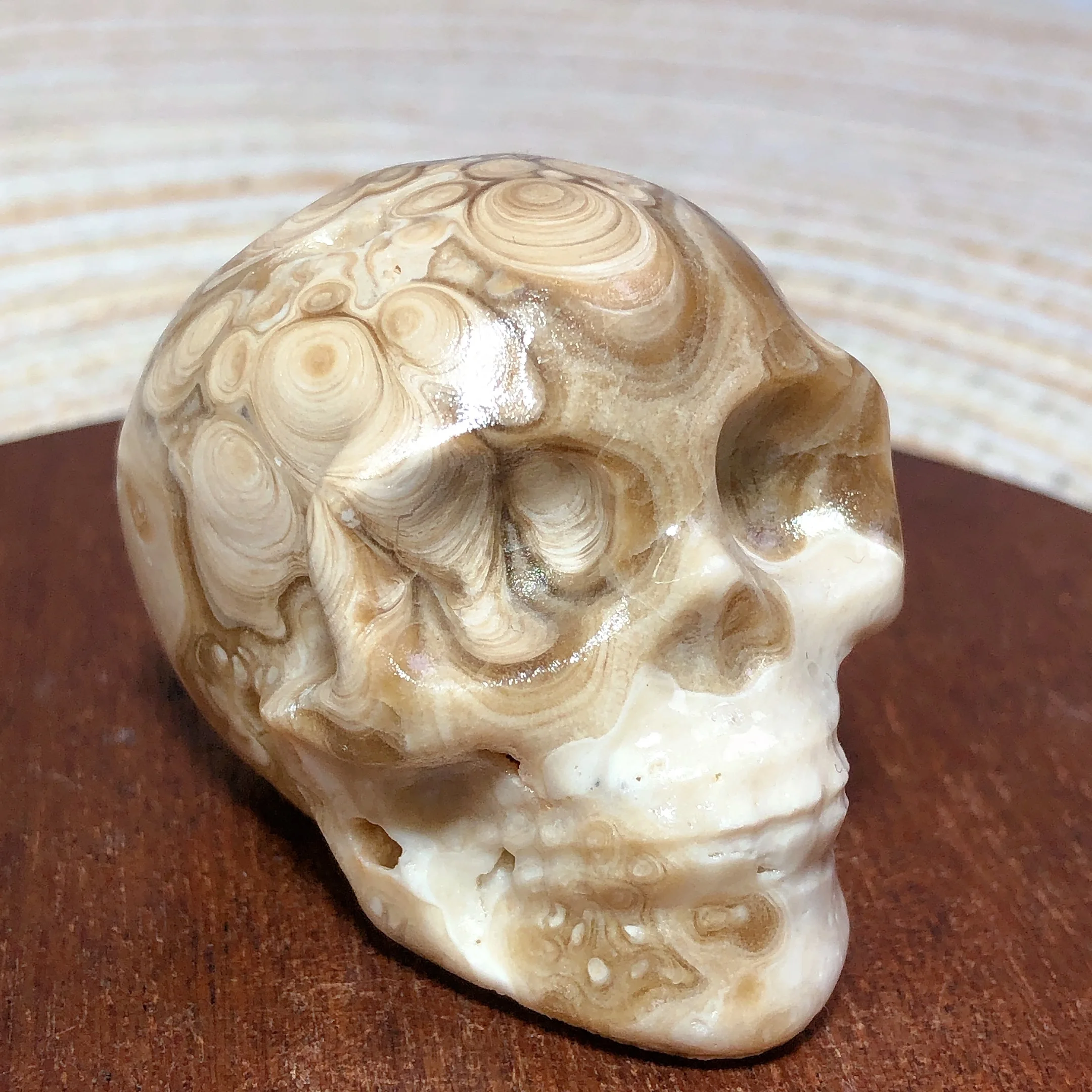 

High Quality Natural Crystal Chocolate Calcite Skull Energy Healing Carving Wholesale Gemstone Reiki Home Decorations Room Decor