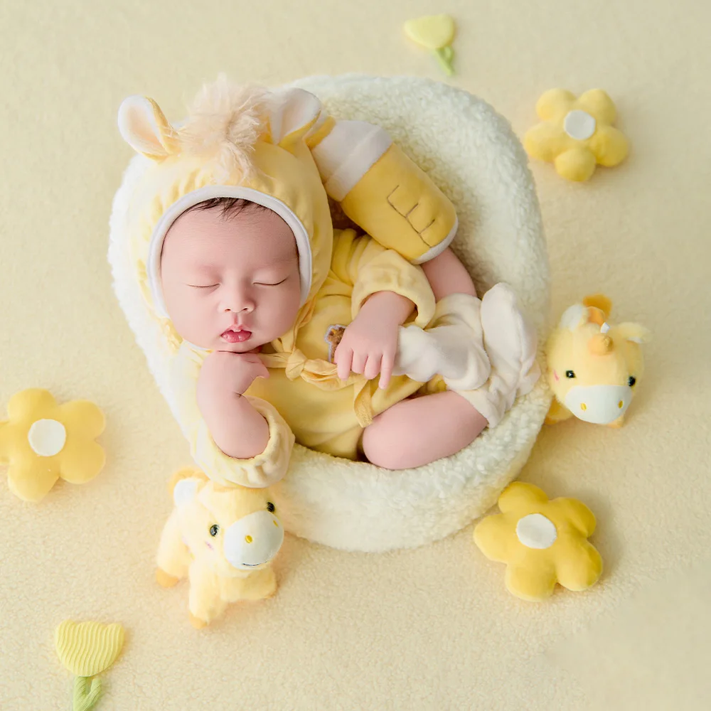 Professional Newborn Photography Props Lucky Horse Theme Baby Costume Flower+pony Plush Doll Decor Props for Studio Baby Session