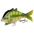 Fluore Baby Bass