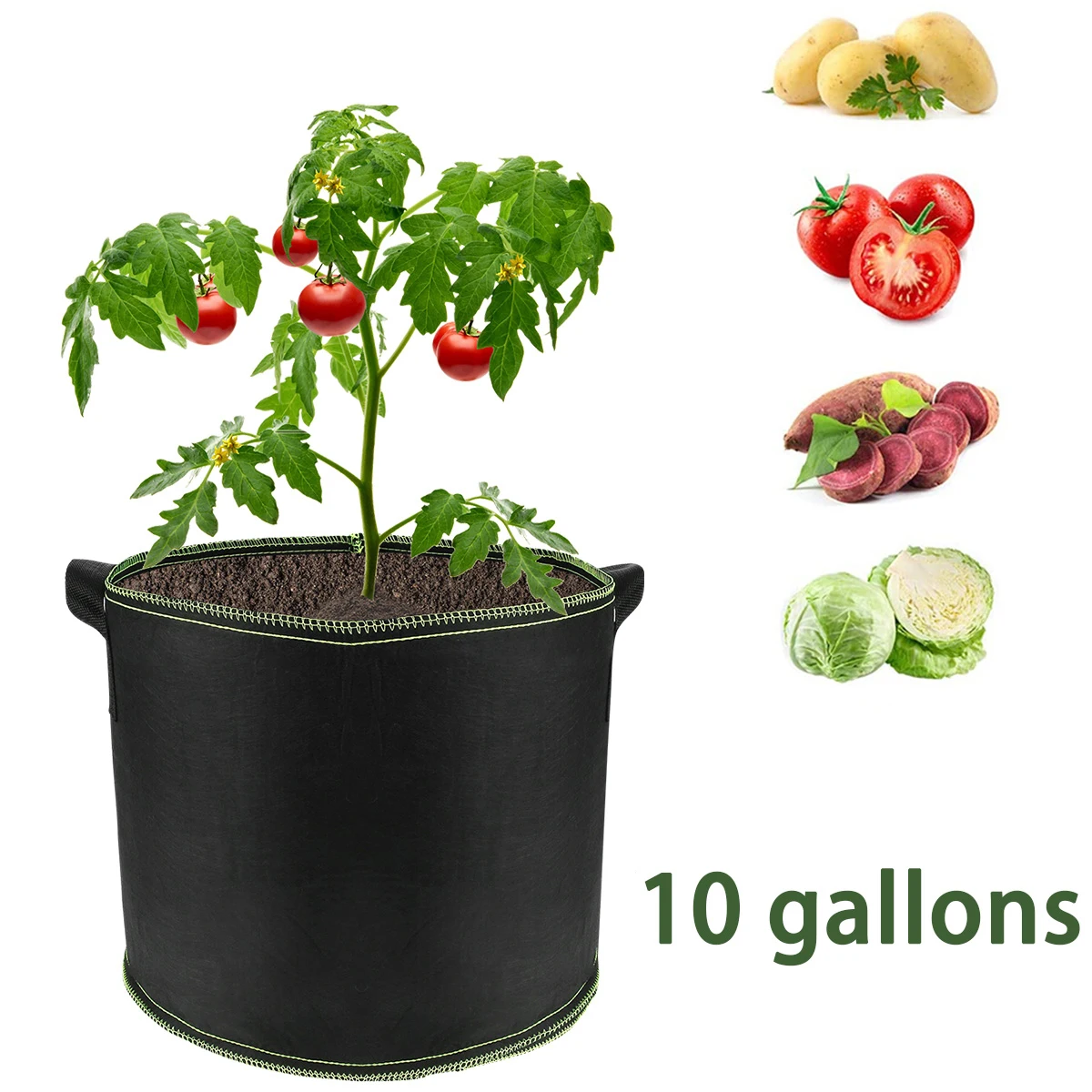 10 Gallon Vegetable/Flower/Plant Grow Bags Non-woven Saplings Potato Tree Planting Bags Tree Foldable Garden Planting Pots