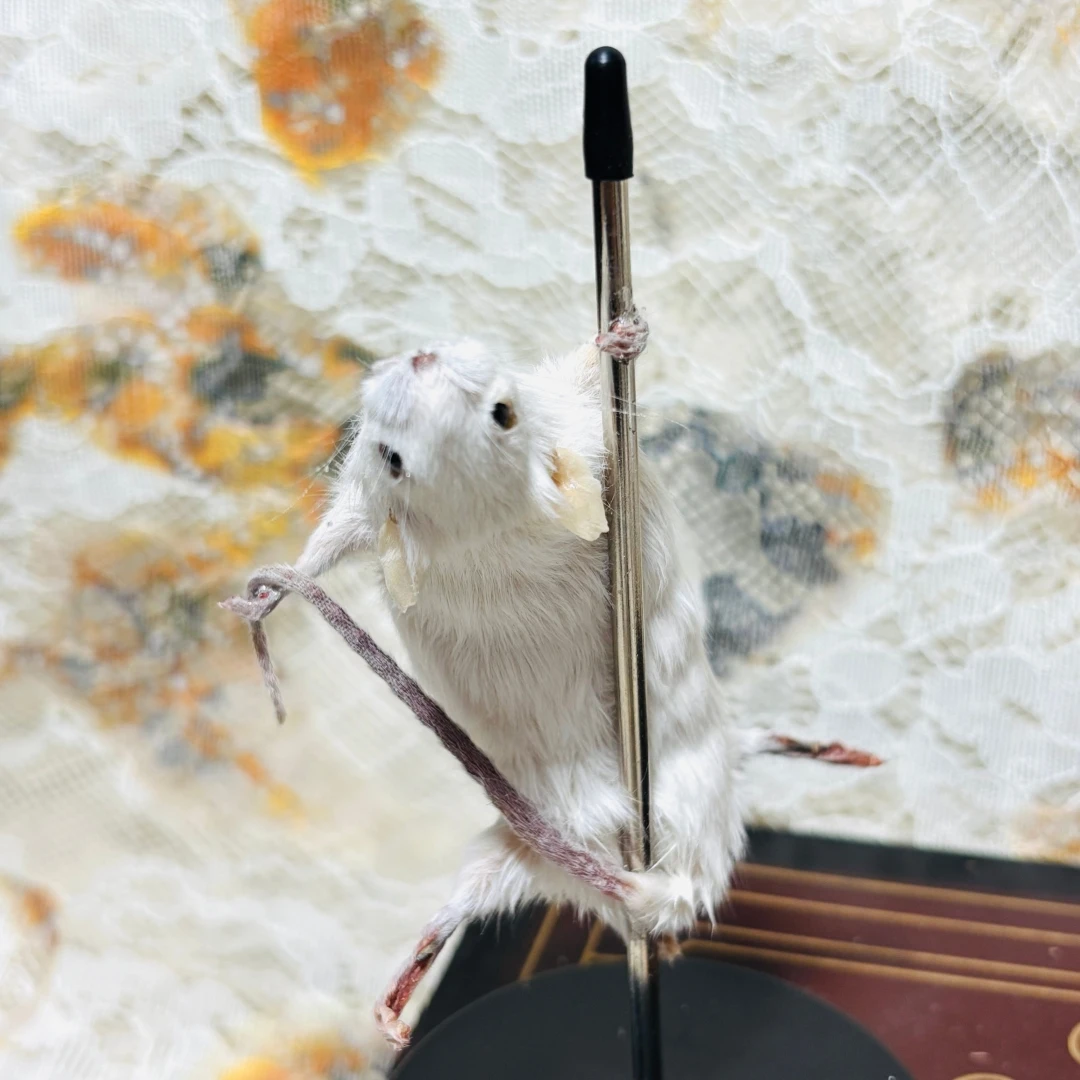 2183 Handmade Pole Dancer Mouse Desktop Ornament Gothic Oddity Cabinet Decor Macabre Punk Curiosity Art Decorative Statue Gift