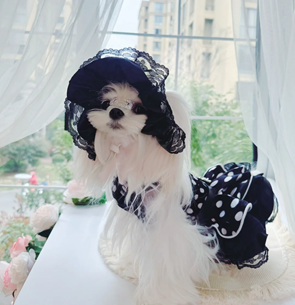 

Elegant Retro Polka Dot Pet Dress Set | Classic Fashion Lace Ruffle Dog Skirt Suit for Fashionable Small Pets