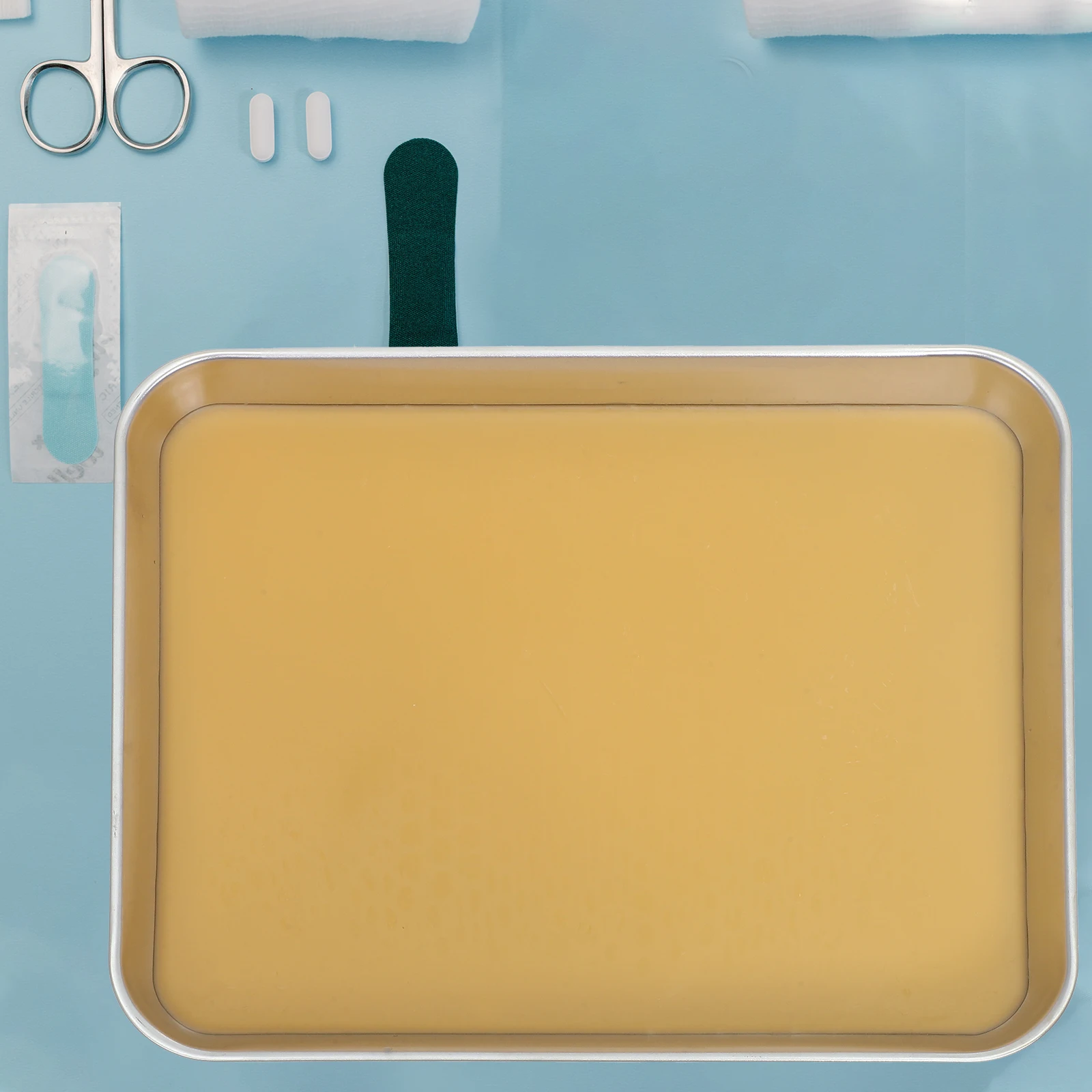 

Stainless Steel Dissection Tray Wax Lined Biology Lab Tool For School Experiments Metal Dissecting Pan Wax Holder