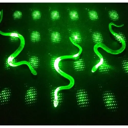 Glow in the dark Fluorescent Snake 13 cm 1 Pcs