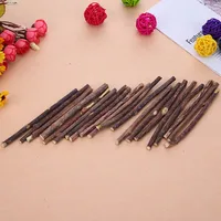 15-60pcs Natural Catnip Pet Cat Molar Toothpaste Stick Matatabi Actinidia Fruit Silvervine Cat Snacks Sticks Pet Cleaning Teeth 6