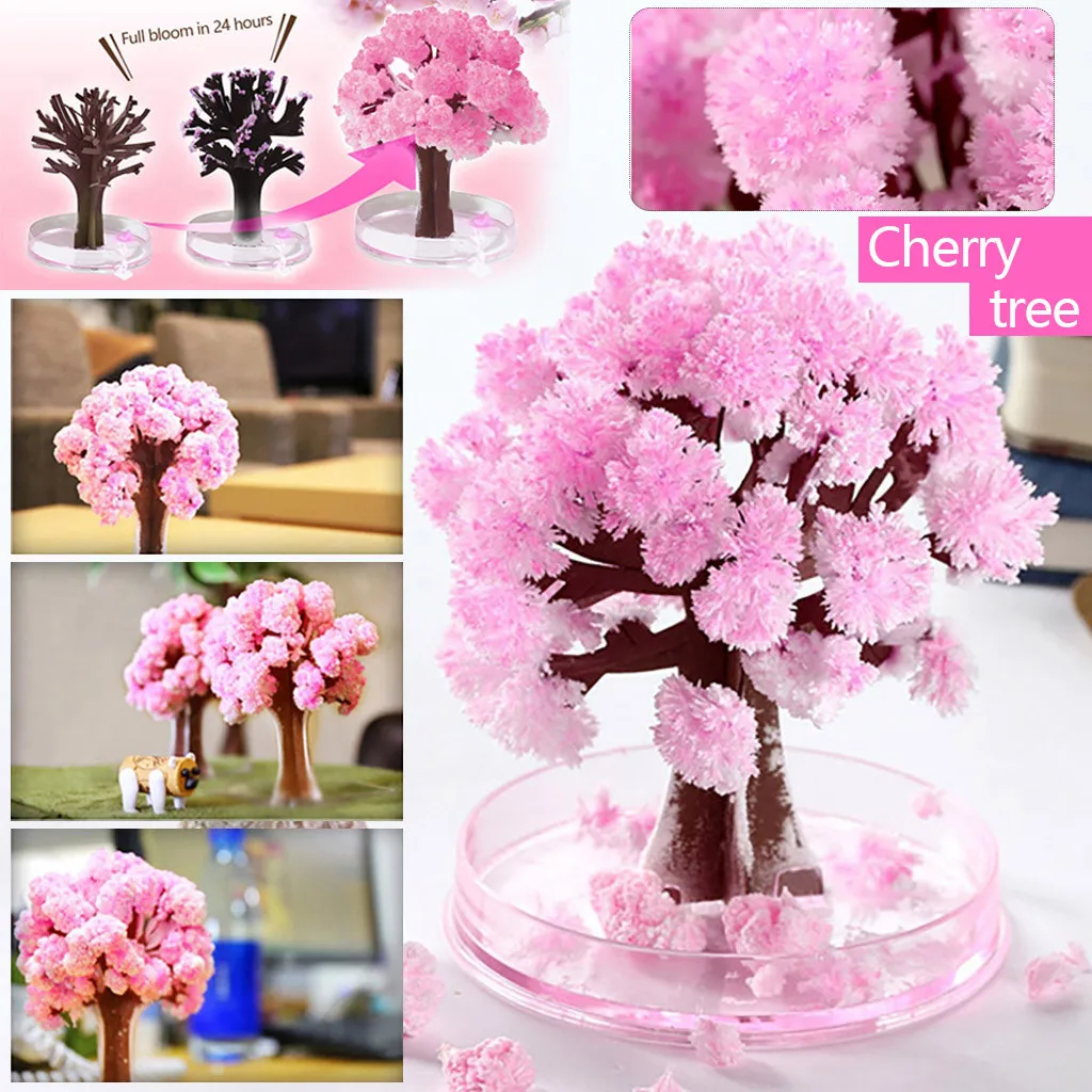 Paper Tree Flowering DIY Cherrytree Paper Sakura Crystal Trees Magically Paper Magic Growing Tree Japan Desktop Cherry Blossom