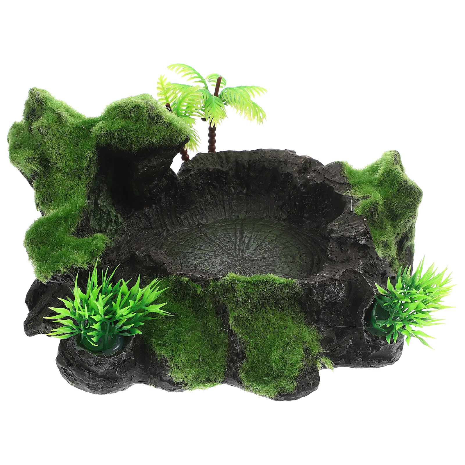 

Decorative Reptile Dish Resin Bowl Naturalistic Design Non Premium Material Gecko Lizards Turtle Iguana Accessories