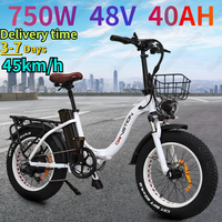 Electric Bike Folding 750W Powerful Motor 48v40ah Lithium Battery 20*4.0 Inch Fat Tire E Bike Adjustable Speed Electric Bicycle