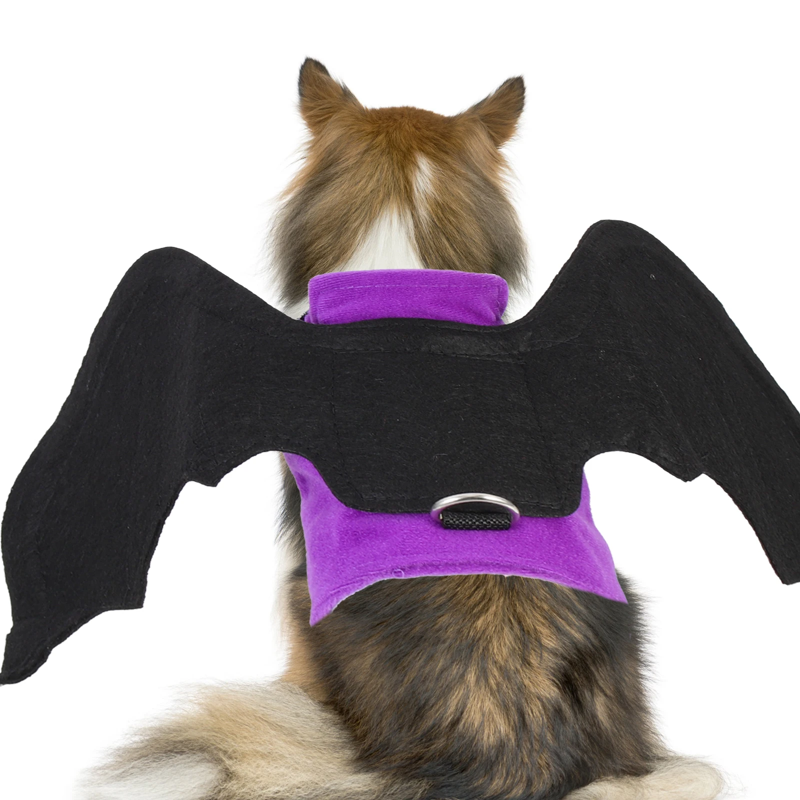 

Pet Dog Bat Costume Puppy Cosplay Wing Purple Halloween Cat Accessories Bat Wing Clothing Chest Back Pet Supplies for Cats