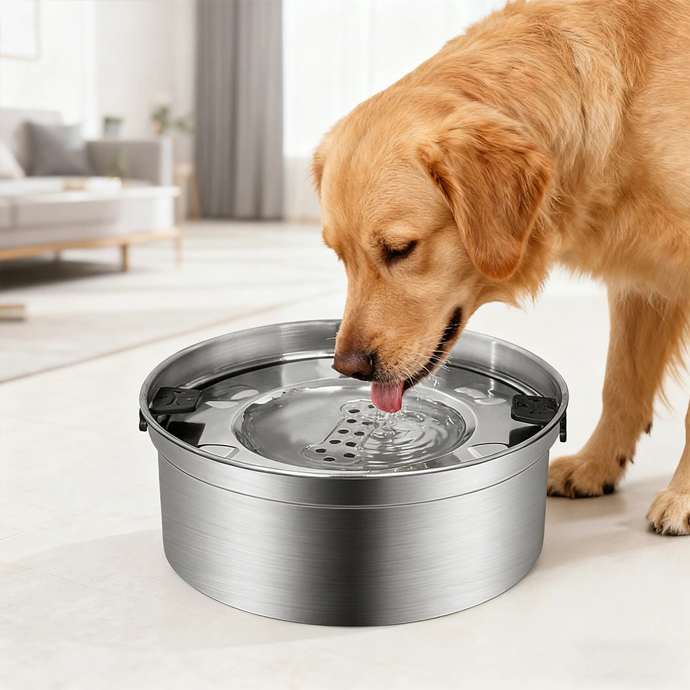 #27 Cheap Stainless Steel Dog Bowls Worth Buying