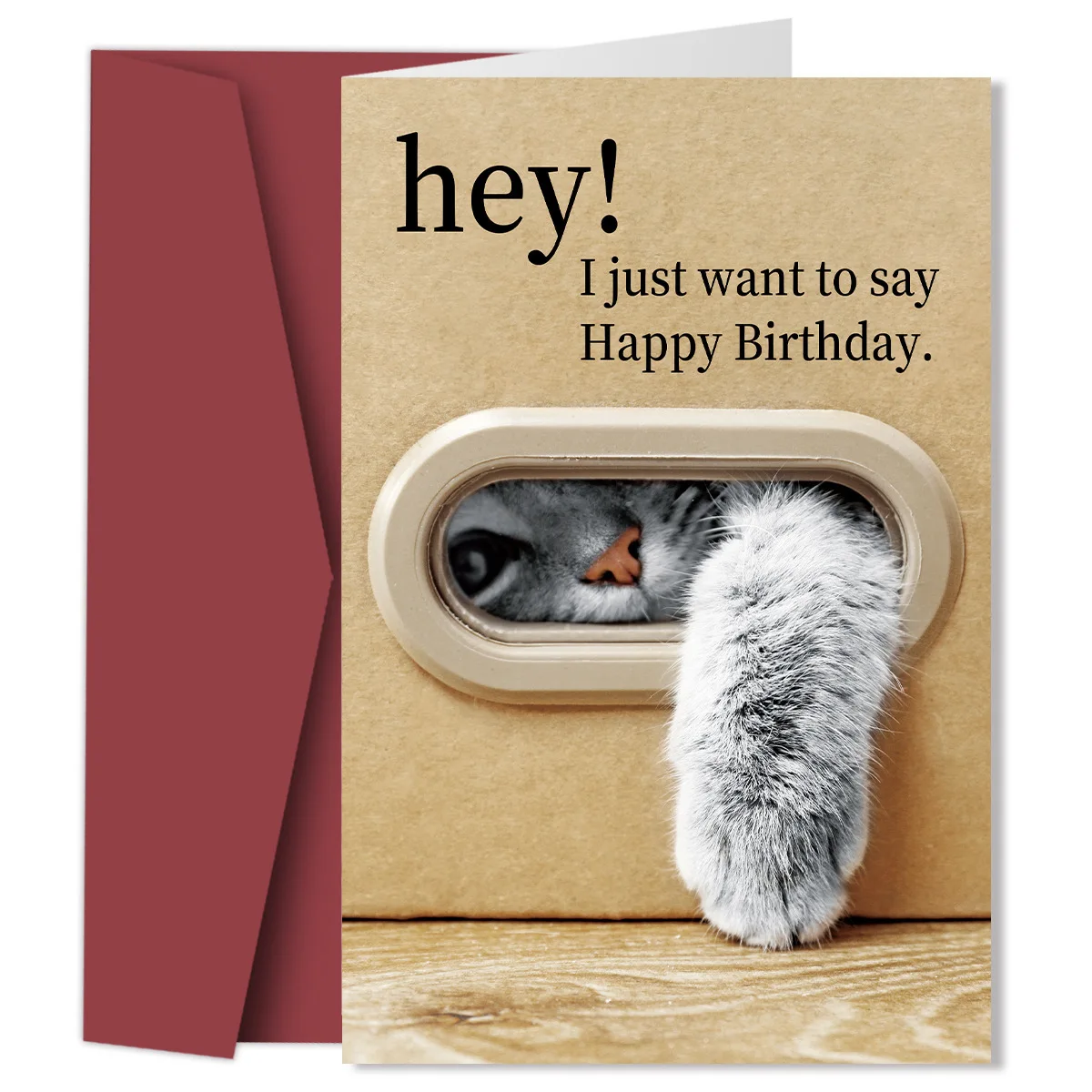 

Cute Cat Birthday Card Playful Kitty Paw Desig Birthday Card with Envelope Gift for Cat Lover I Just Want to Say Happy Birthday