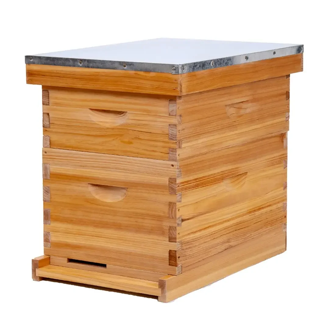 Honey Beekeeping Equipment High Quality Cheap Price Langstroth Wax Coated Bee Hive