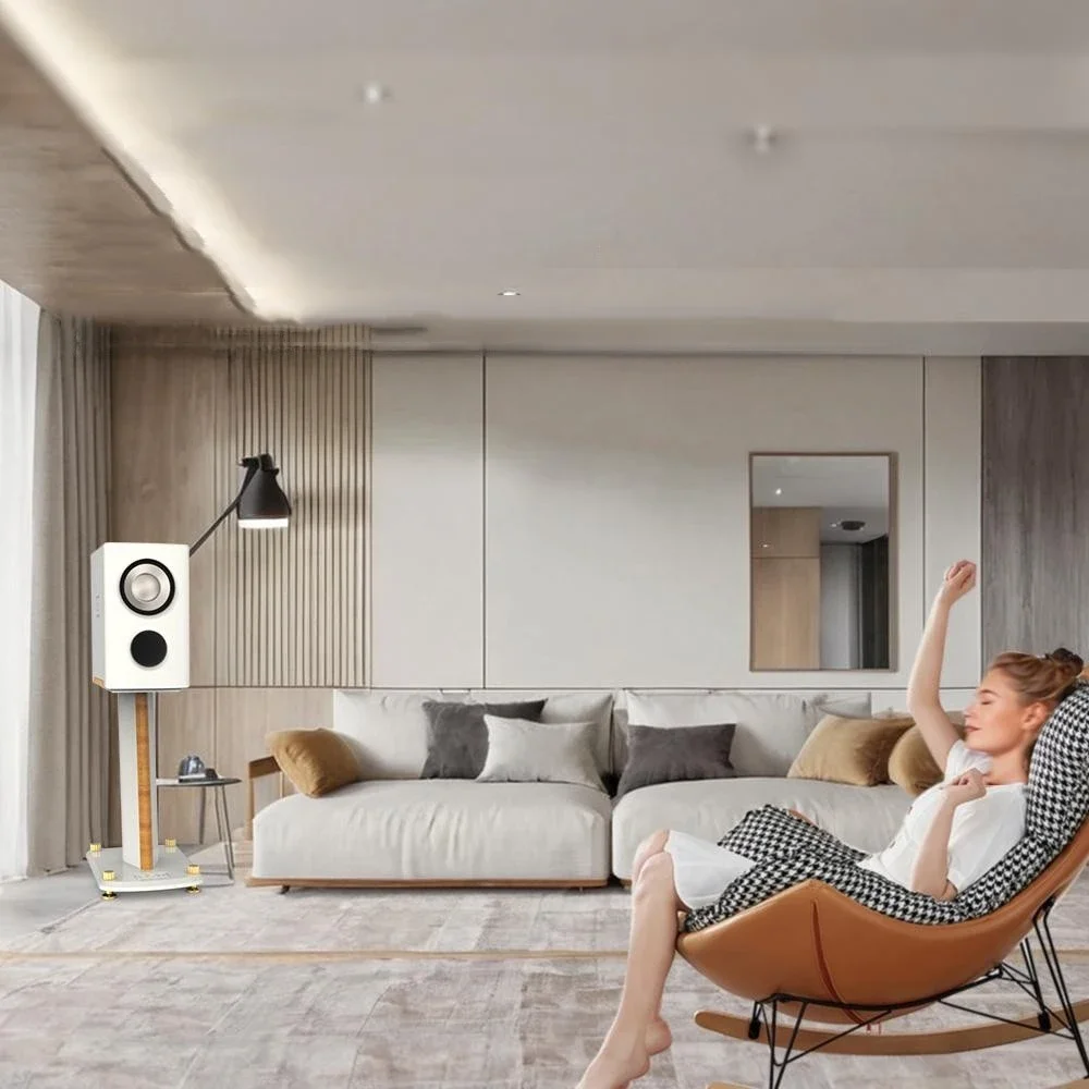 Active Bluetooth and Teeth Computer Desktop Speaker Active Subwoofer Speaker Hifi Bookshelf