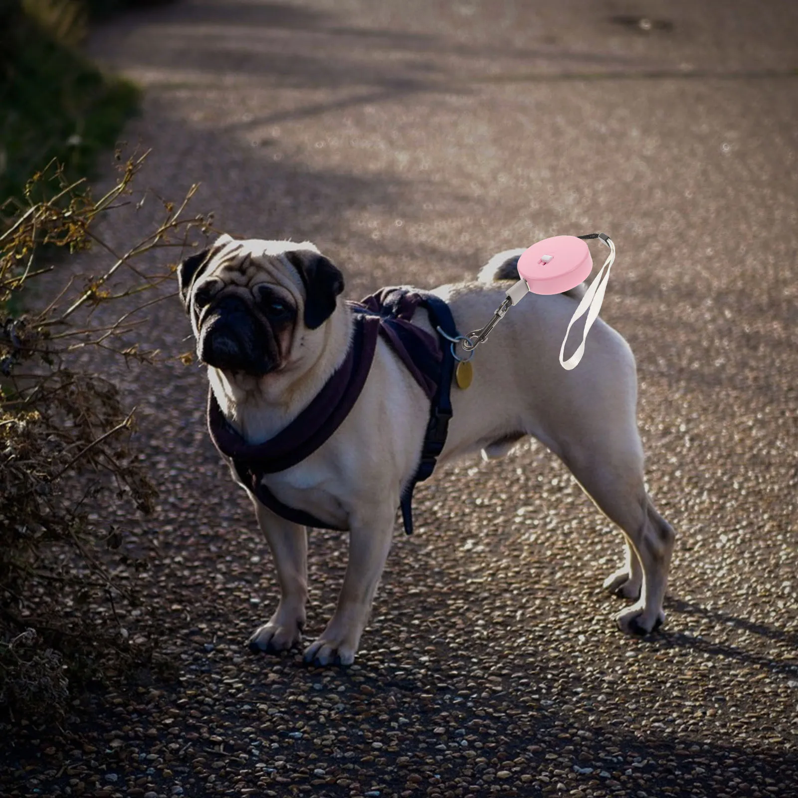 

Retractable Dog Leash with Lanyard Design Comfortable Firm Wear Resistant Adjustable Long Service Life Outdoor Pet Walking
