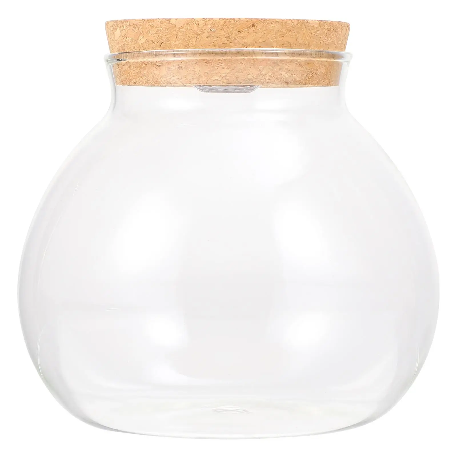 

Light Ecological Bottle Clear Fish Tank Borosilicate Glass DIY Micro Landscape Aquarium Desktop Decor