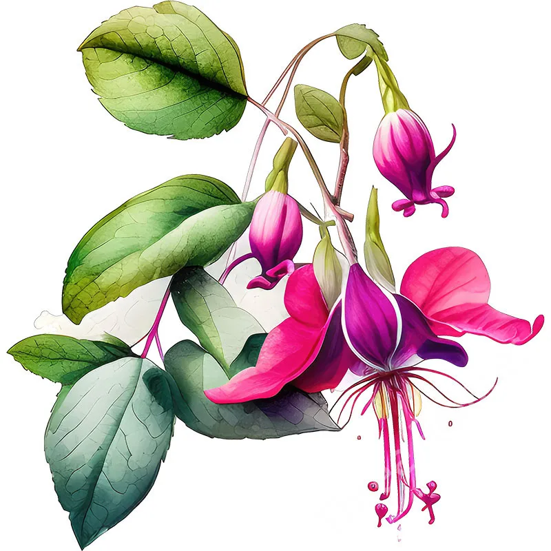 Three Ratels QCF302 Beautiful Fuchsia hybrid Hort flower branch home decoration wall sticker
