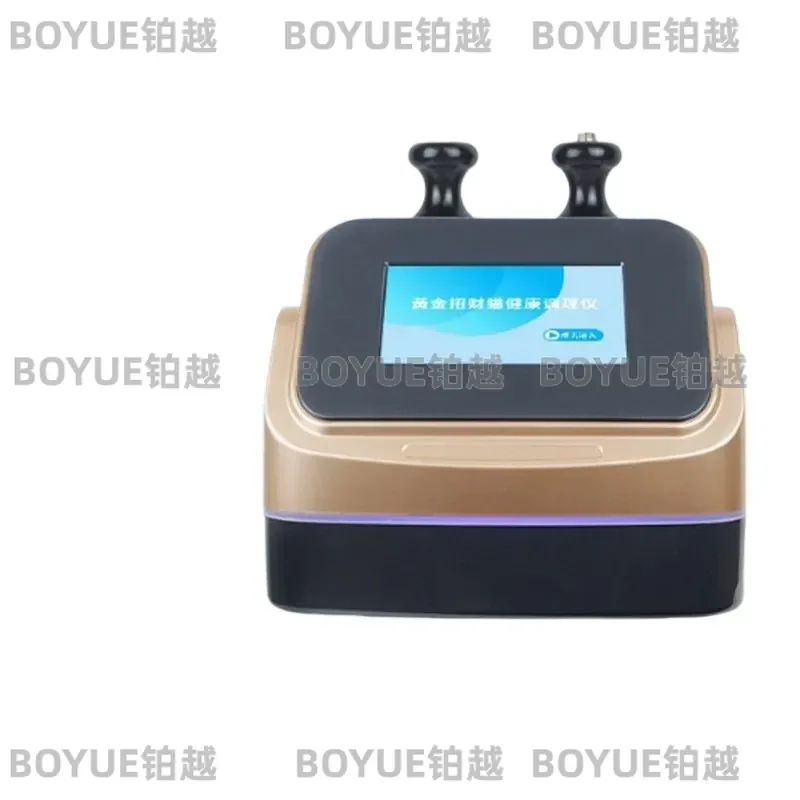 EMS Body Sculpting Device Meridian Unclogging Massager DDS Bioelectric Therapy Tool for Fat Reduction Acid Base Balance