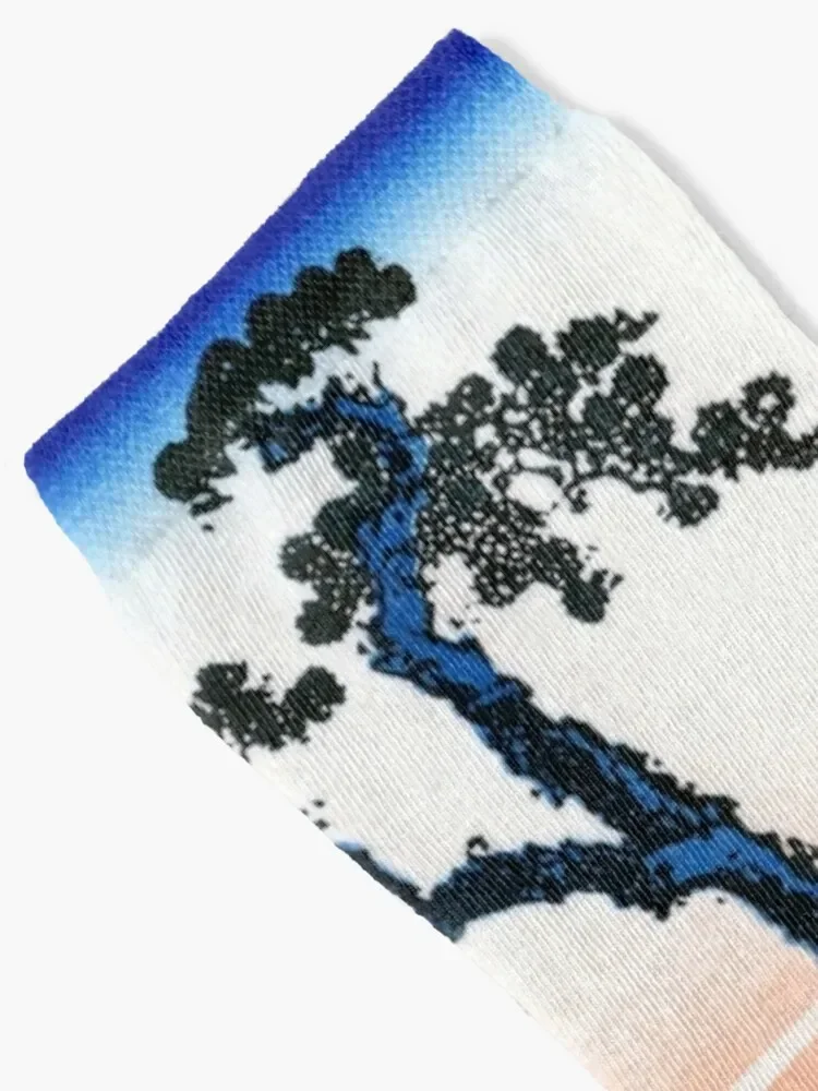 Chaussettes de football coordonnantes pour hommes et femmes, Katsburg, Hokusai, Lac Suwa dans la province de Kendano, Chaussettes Kawaii pour enfants