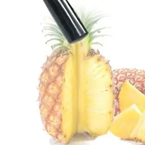 Household Pineapple Peeling Machine Stainless Steel High Quality Commercial Fruit Pineapple Peeler Easy To Carry For Shop view 2