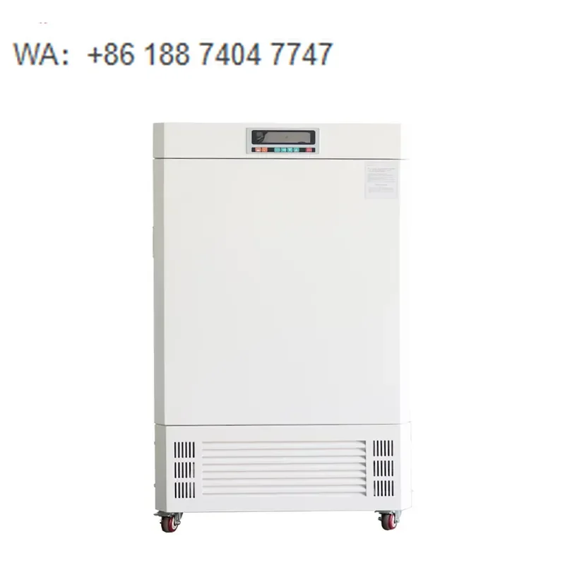 High Precision 150L Illumination Incubator MGC-150-II 304 Stainless Steel Programmable Climate Chamber for Seedling Lab