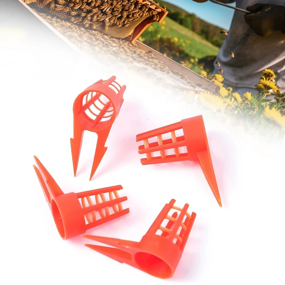 50 Pcs Honey Bee Comb Push-in Queen Cell Protectors Plastic Beekeeping Tools Queen-bee Rearing Cage for Beekeeping Supplies
