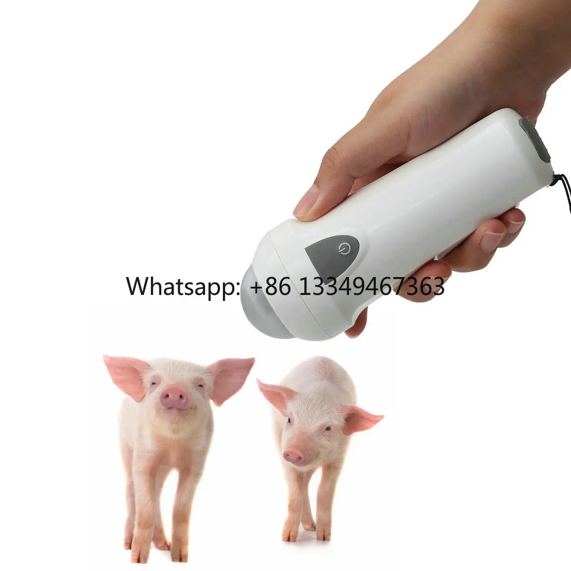 Handheld Portable Veterinary Ovulation Detector  Model Aluminum Suitcase Horse Dog Rabbit Easy Operation 9V