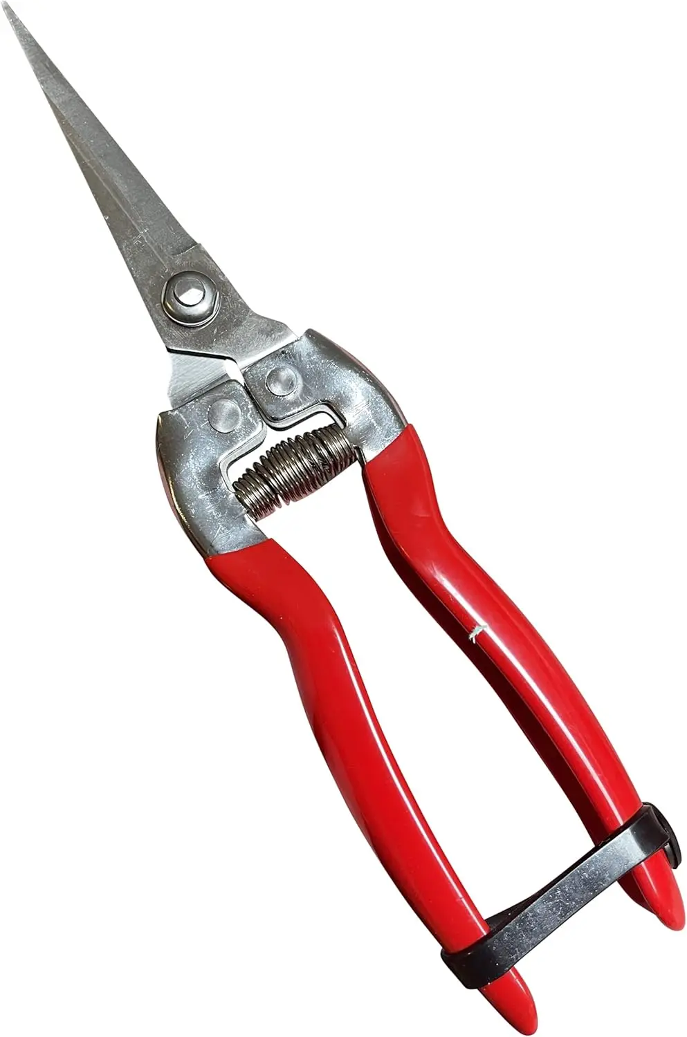 

GURU Straight Stainless Steel Pruner Pruning Shears Clippers Snips – Sharp Bonsai Cutter Plant Trimming Scissors – Straight Blad