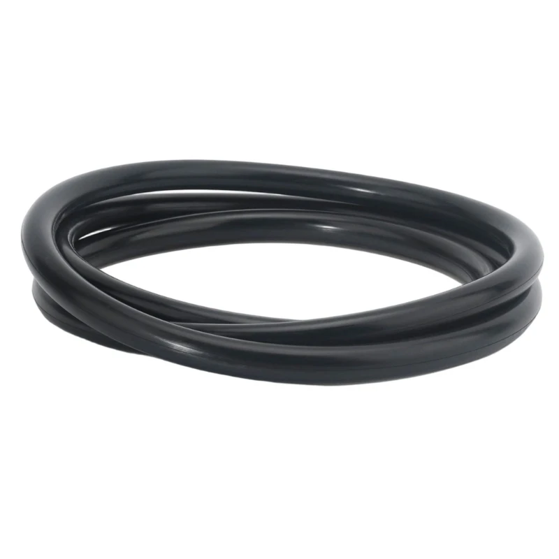 Langlebige Gummi-O-Ring-Dichtungen für CCP 520/420/320 und FNS Plus-Filter, Schwimmbad-Filtertank-Druckdichtung D2RD – Detail 1