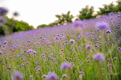 

INR18650-35E 3.7V 3500mah 18650 Battery For Samsung 20A Lithium Lon Battery Replacement External Battery+Charger